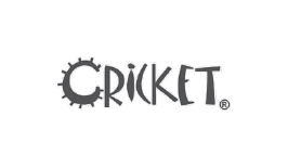 Cricket